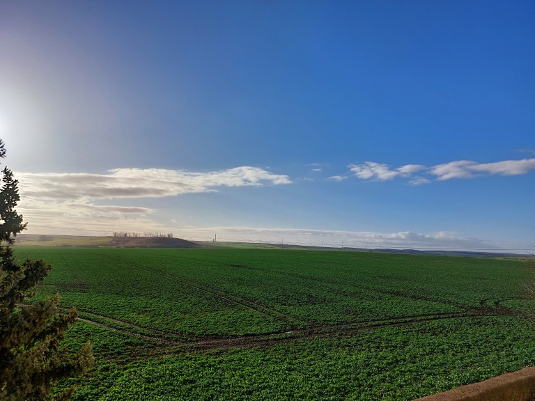 details-immobilie-10859